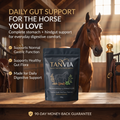 TANVIA Equine Comfort — Premium Gastric & Hindgut Support for Horses