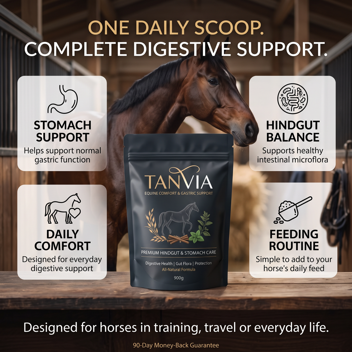 TANVIA Equine Comfort — Premium Gastric & Hindgut Support for Horses