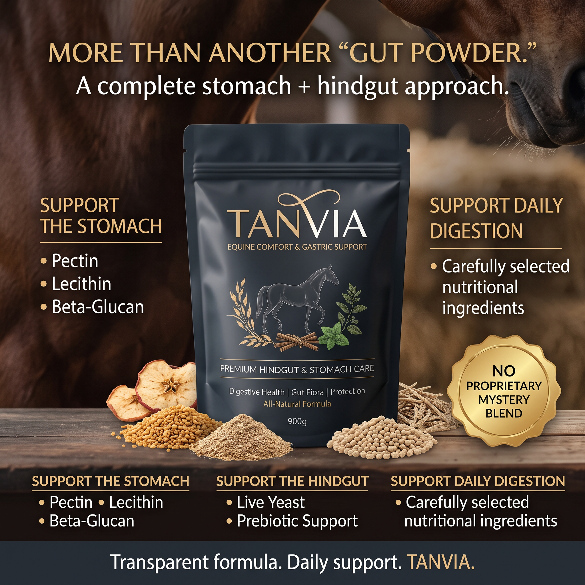 TANVIA Equine Comfort — Premium Gastric & Hindgut Support for Horses